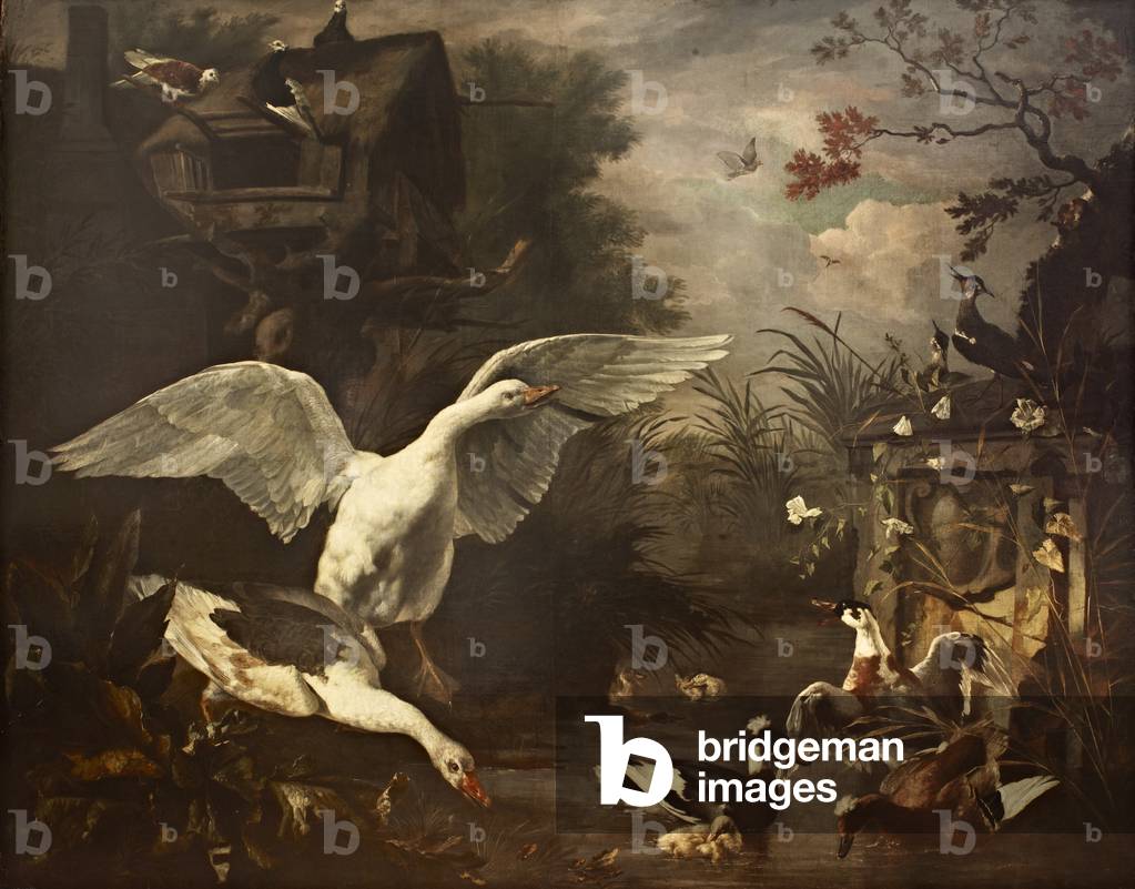 Cigni e un'anatra di un ruscello (olio su tela)