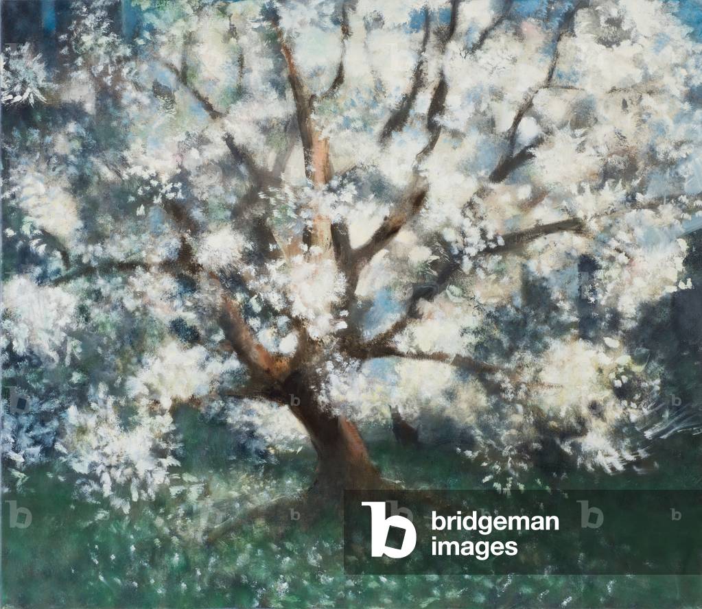 Ciliegio con Doberman C.P., 2013 (olio su tela)