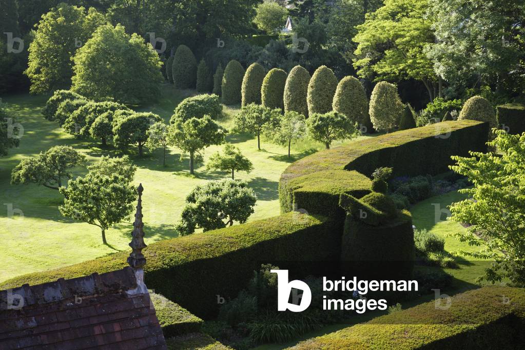 Une vue sur le jardin en Juin (photo)