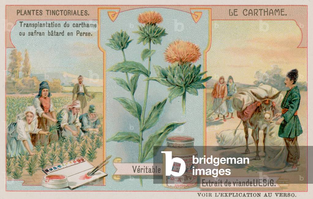"Safter und seine Beförderung aus Persien (chromolitho)" von European School