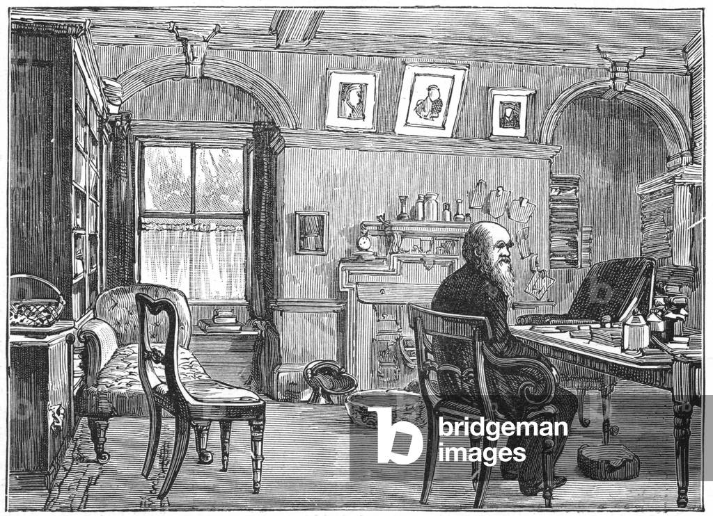 Charles Darwin (1809-1882) in seinem Studium an Down House, Beckenham, Kent. Englischer Naturforscher. Evoluti