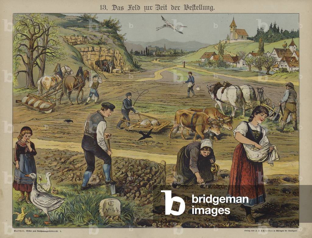 Farming (colour litho)