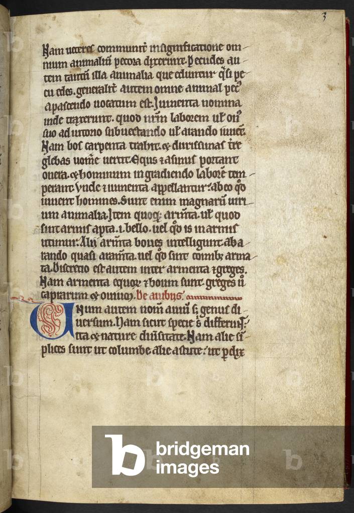 "Royal MS 12 C XIX" 1200 von English School, b/w