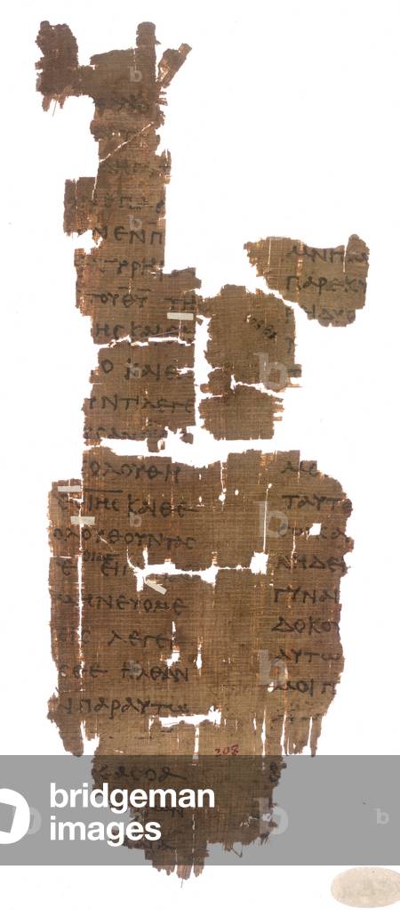 Papyrus 782, Fragments de l'Évangile de Saint-Jean John