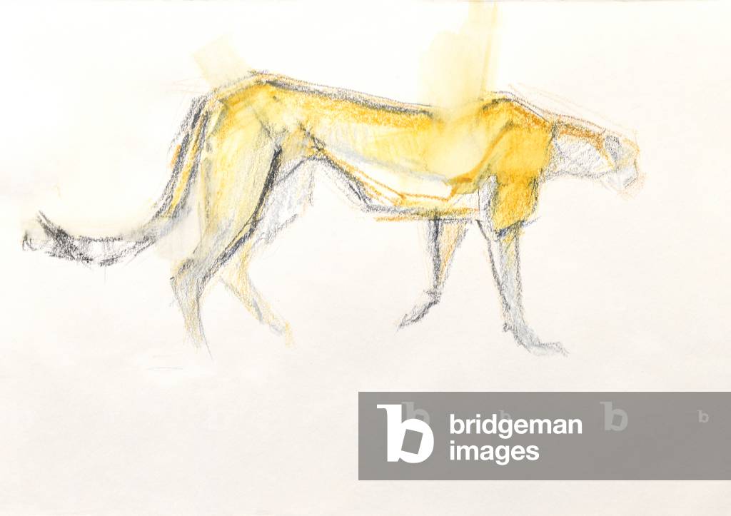 Image of Drawing depicting Cheetah 2020 by David Mayer