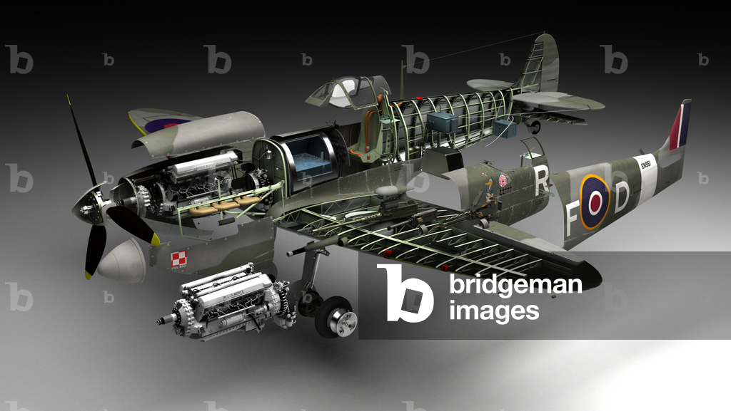 Image de Art numérique représentant Spitfire (illustration) par Alex Pang