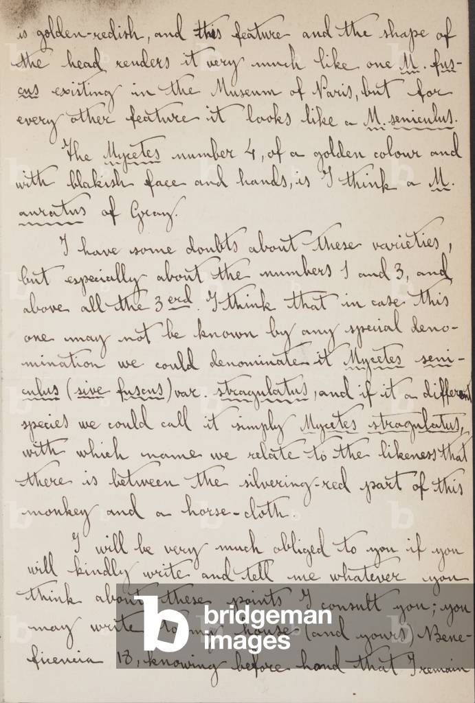 "Cabrera-Thomas Brief - Seite 4" 1896, b/w