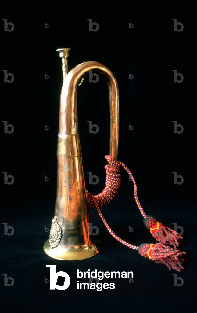 Bugle su sfondo bianco