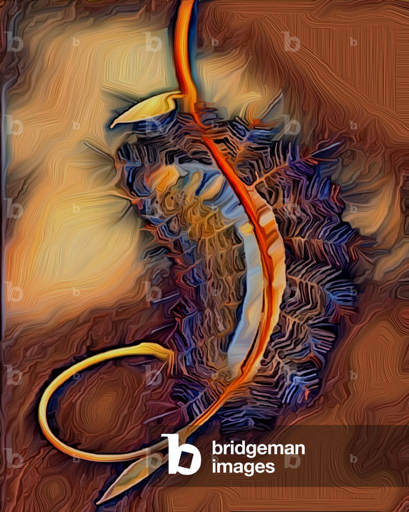 Bug, 2021, (digitale)