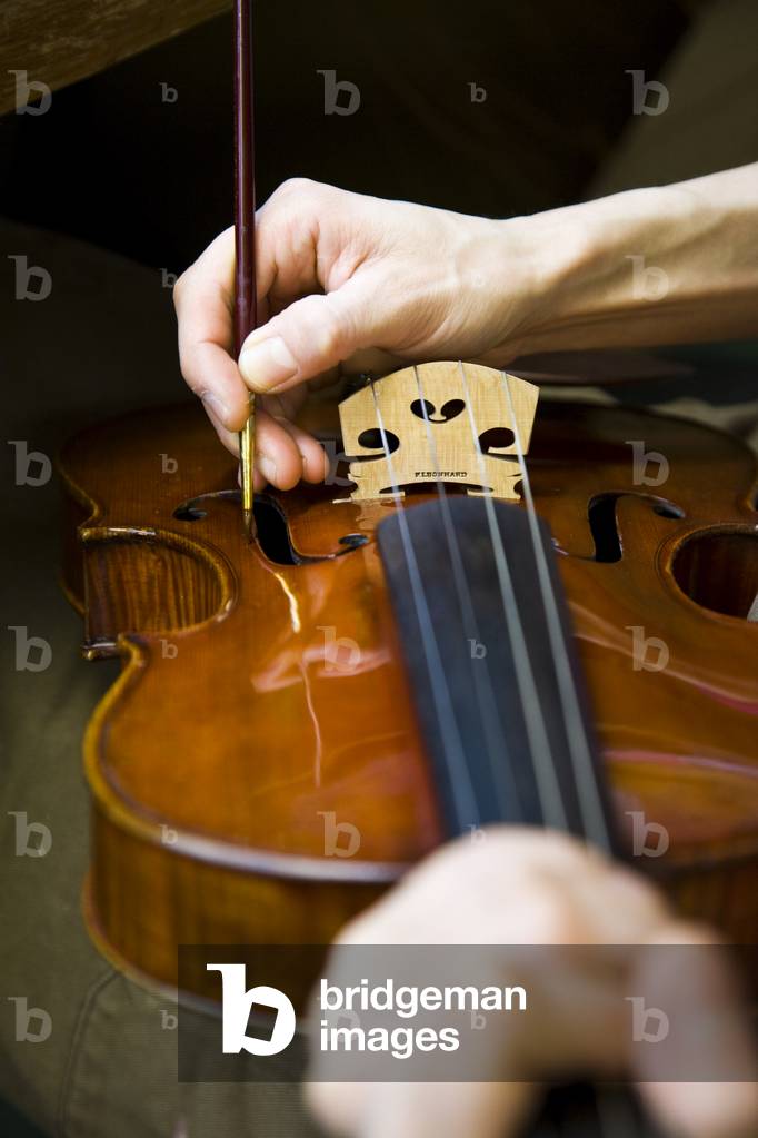 "Ripristino del violino" di Bella Falk