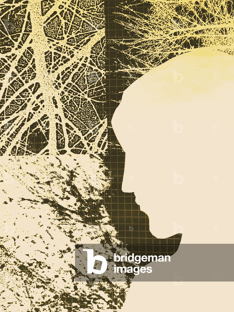 Image de Collage représentant Silhouette 3 2026 par Stephen Dow