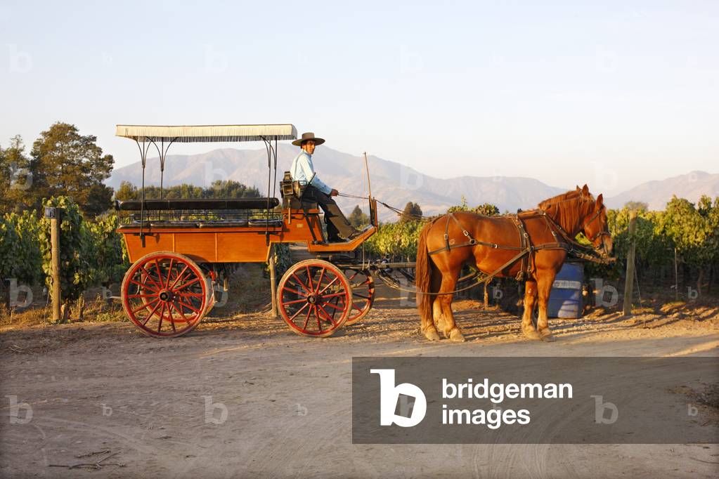 Bild von Fotografie "Pferdewagen"