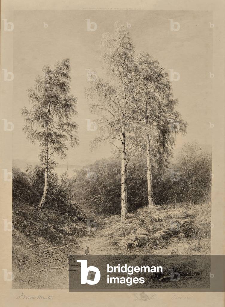 The Three Graces, 1887 (etching)