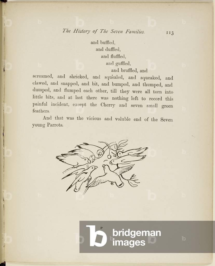 "Familie von Papageien Vers und Illustrationen aus A Book of Nonsense von Lear.", b/w