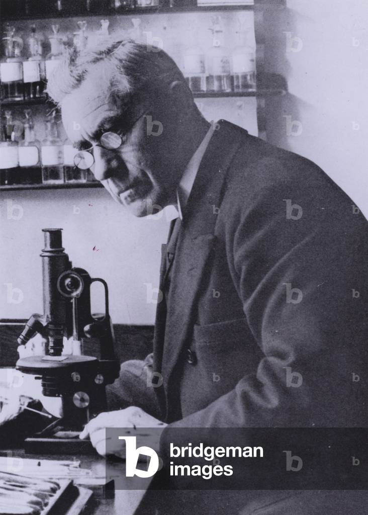 Immagine di Fotografia "Martinus Beijerinck" 1931 di Dutch Photographer