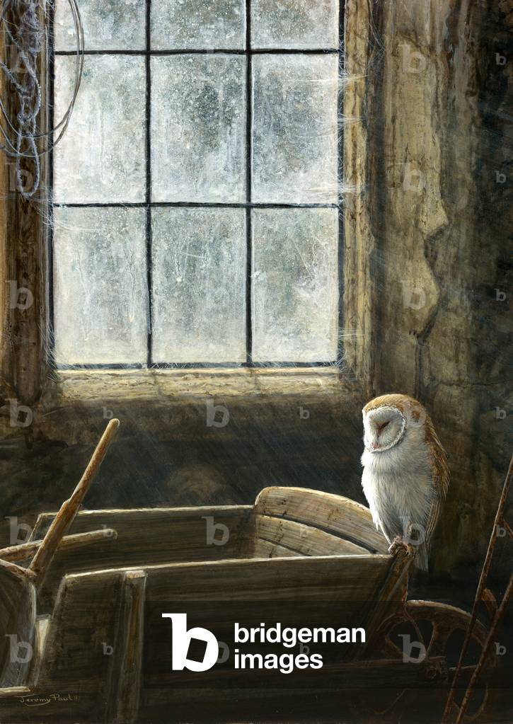 Image of Painting depicting The gardener's store - barn owl 2018 by Jeremy Paul