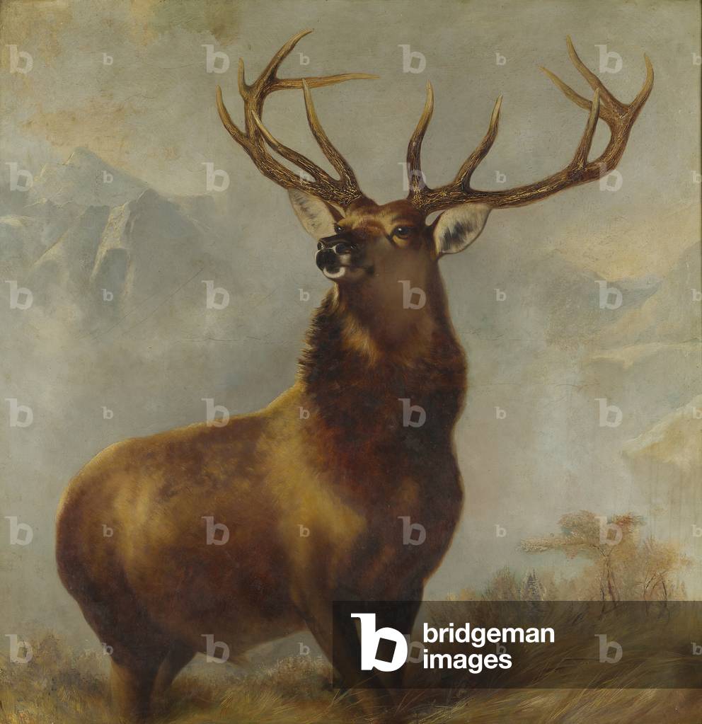 Bild von Gemälde "Monarch der Glen (Öl auf Leinwand)" von Edwin Landseer