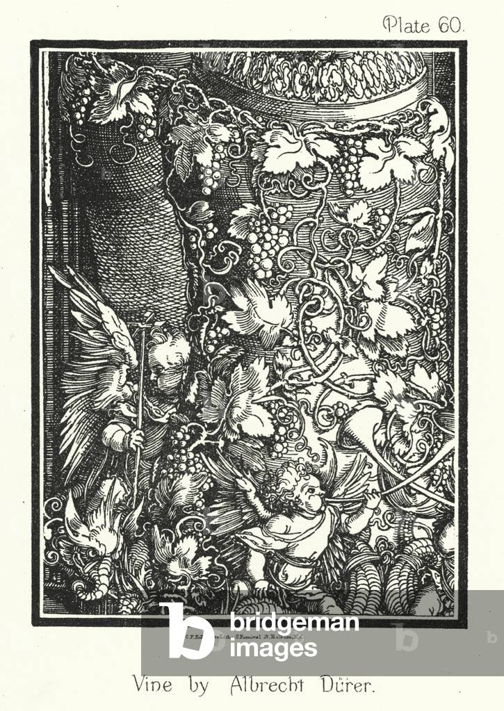 La natura nell'ornamento: Vine di Albrecht Durer (litografia)