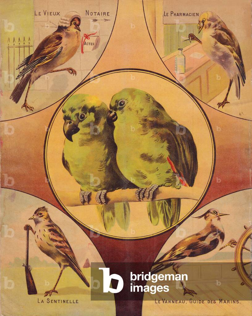 4. Umschlag: Paar Vögel und andere Vögel, englisch, 1890 (chromo)