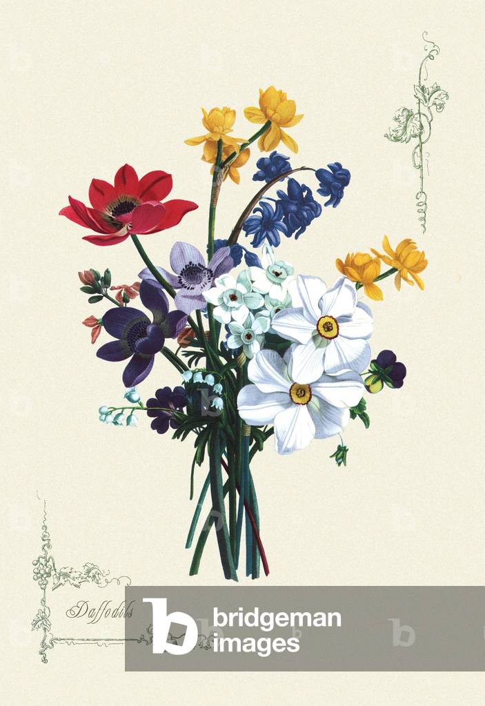 Dodici mesi di frutta (litografia)