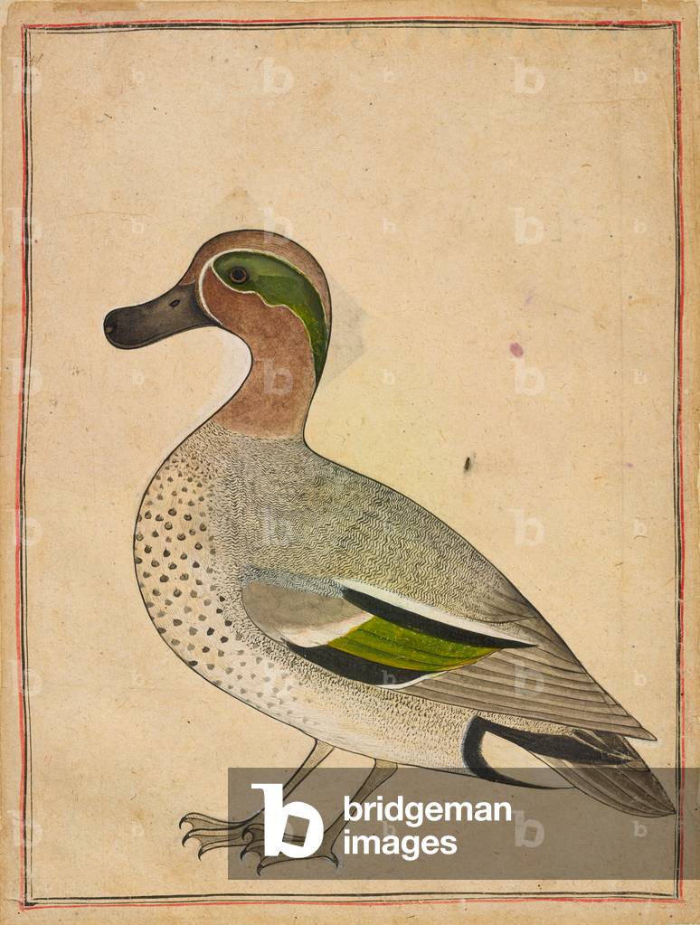 "Verde foglia di tè" 1730 di Indian School