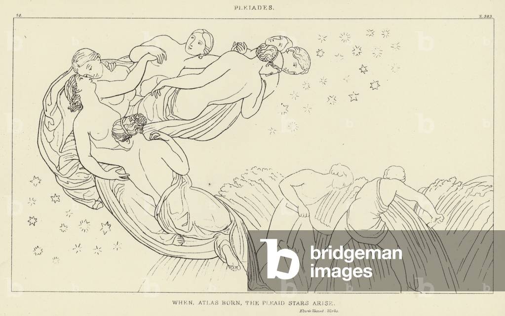 "Pleiadi (incisione)" di John Flaxman, b/w