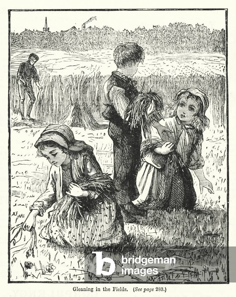 Gleaning in the Fields (engraving)
