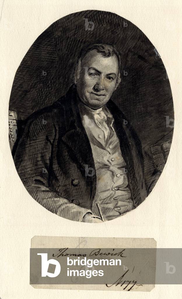 "Ritratto di Thomas Bewick (inchiostro su carta (incollato su carta))" di William Nicholson