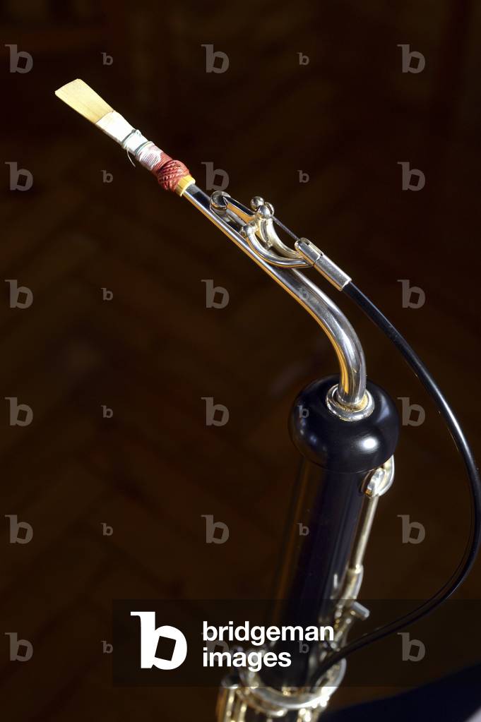 Lupophon, canna, ladro