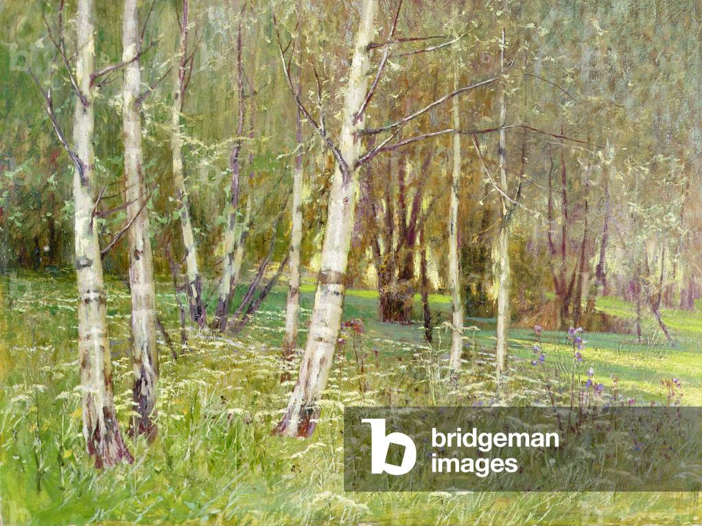 Un paesaggio boschivo, 1910 (olio su tela)