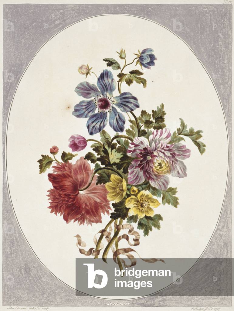 Folio 17 da una collezione di fiori di John Edwards