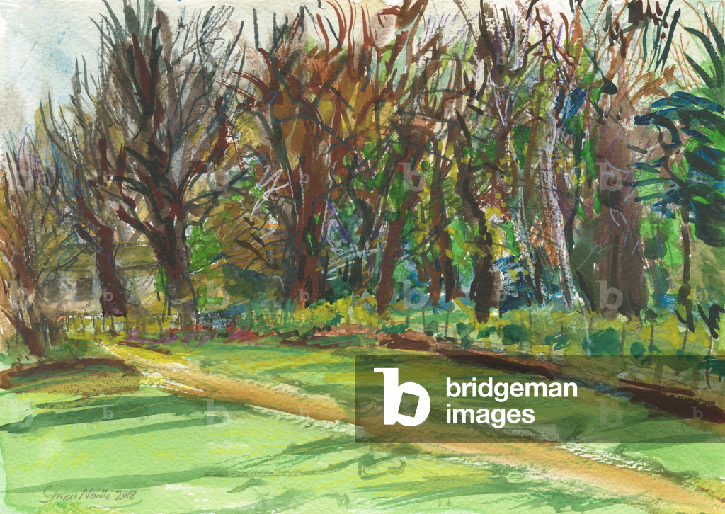 Image of Drawing depicting Garden of Pembroke Lodge 2018 by Simon Neville