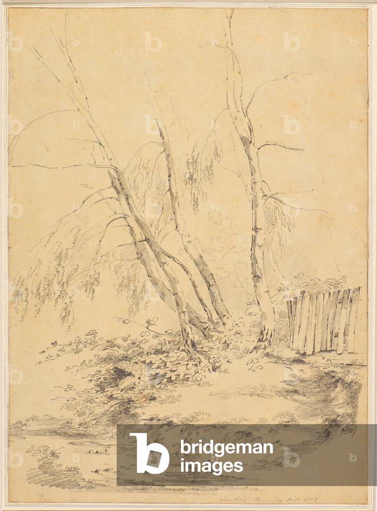 Bild von Zeichnung "Bromley Hill" 1803 von Amelia Long