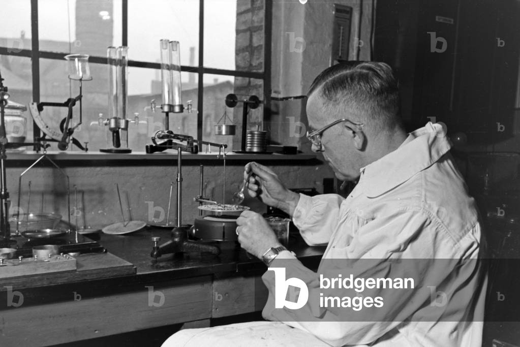 Immagine di Fotografia "Presso i laboratori del centro tecnico per le conserve di Magdeburg", b/w