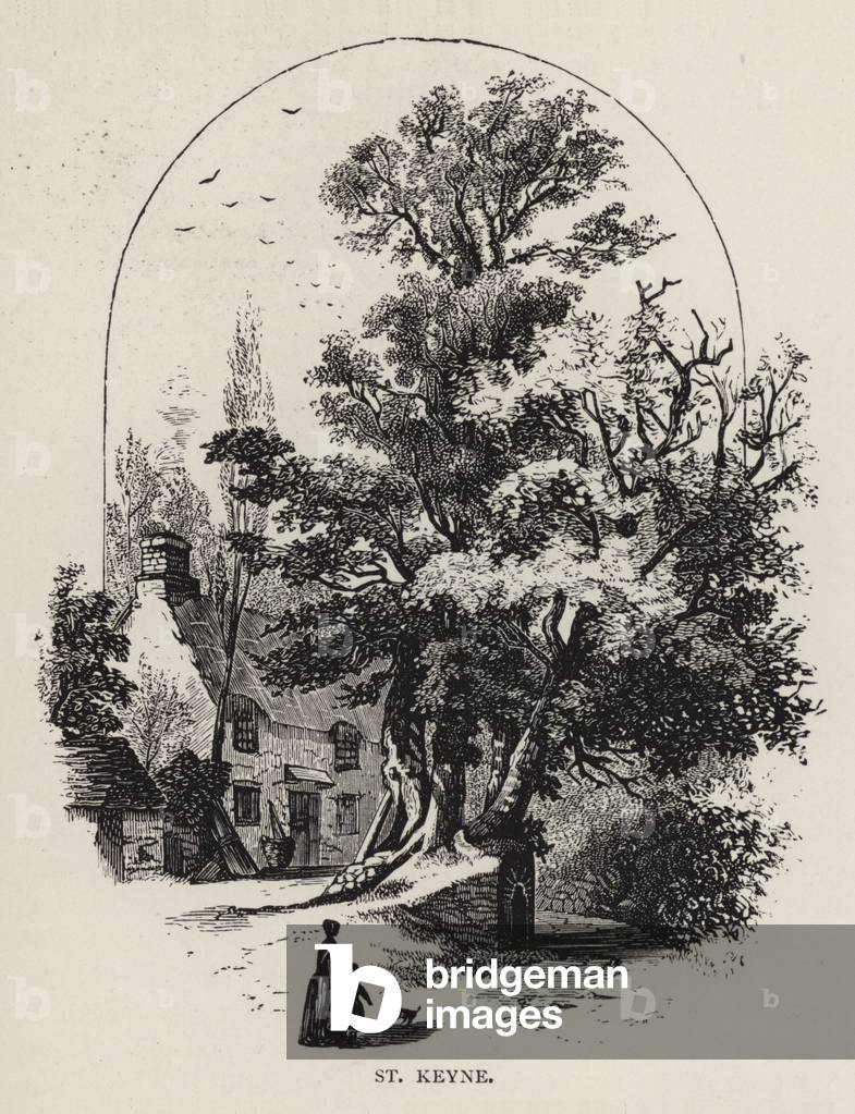 St Keyne (Gravur)