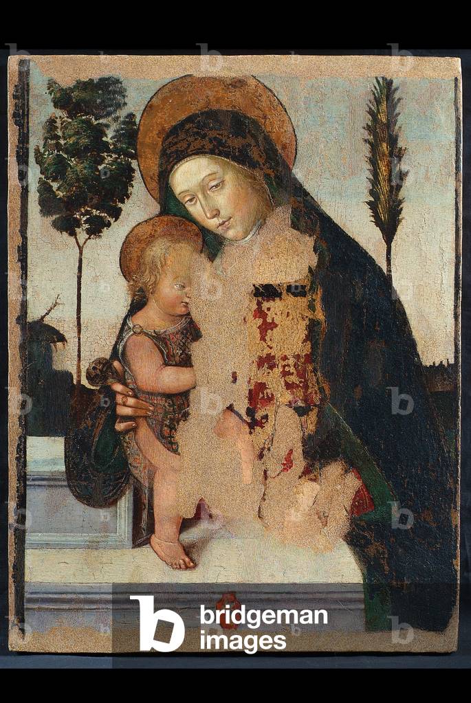 Madonna con Gesù Bambino, c.1470-1480 (tempera su tavola)
