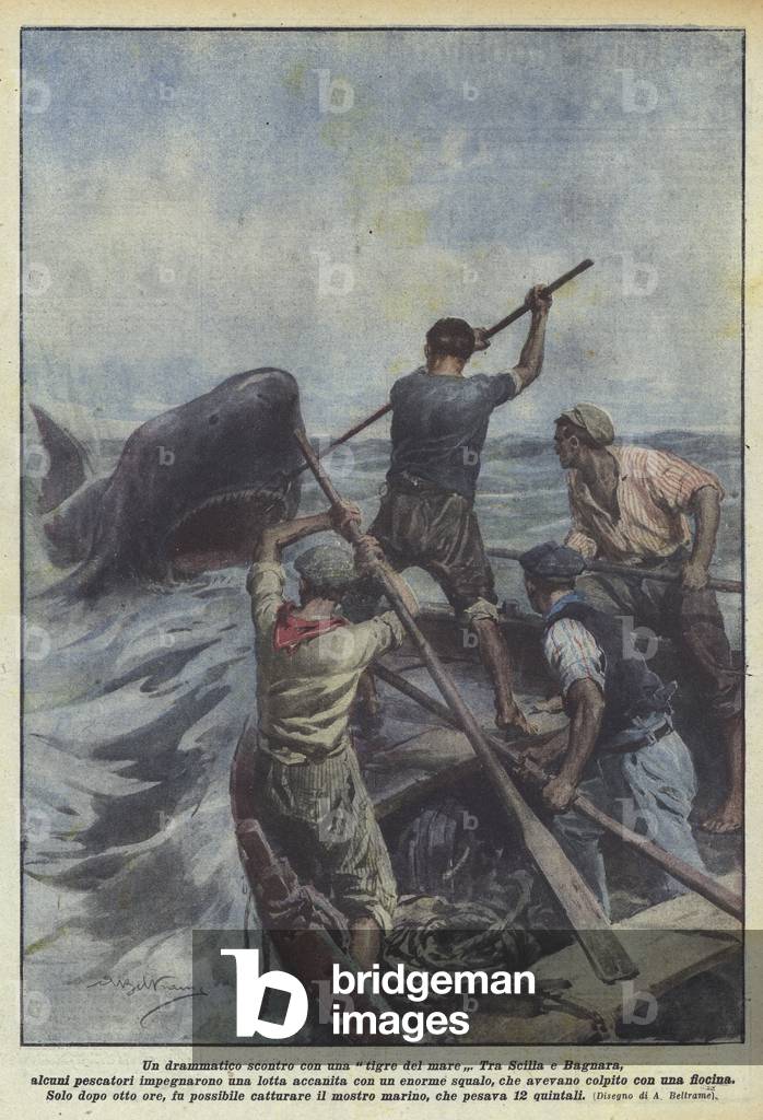 "Un drammatico scontro con una tigre del mare (colour litho)" di Achille Beltrame