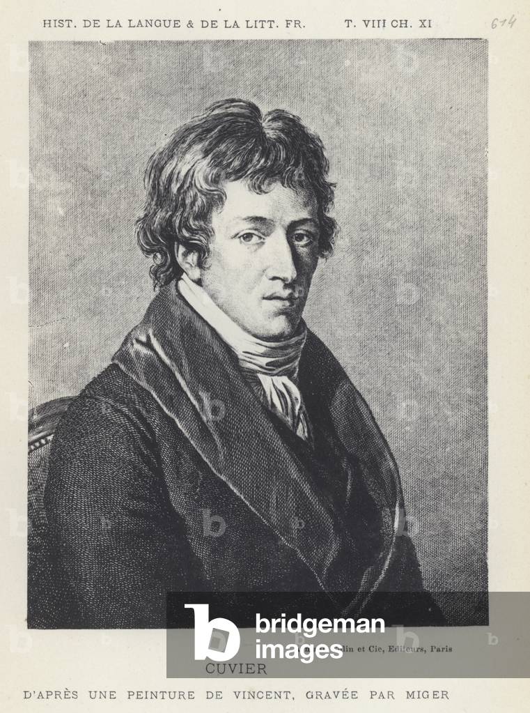 Bild von Druck "Cuvier (Litho)" 1801 von French School