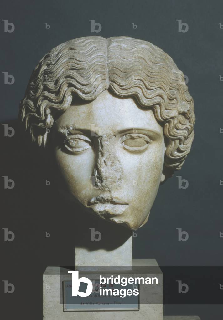 Amazon's head by Phidias