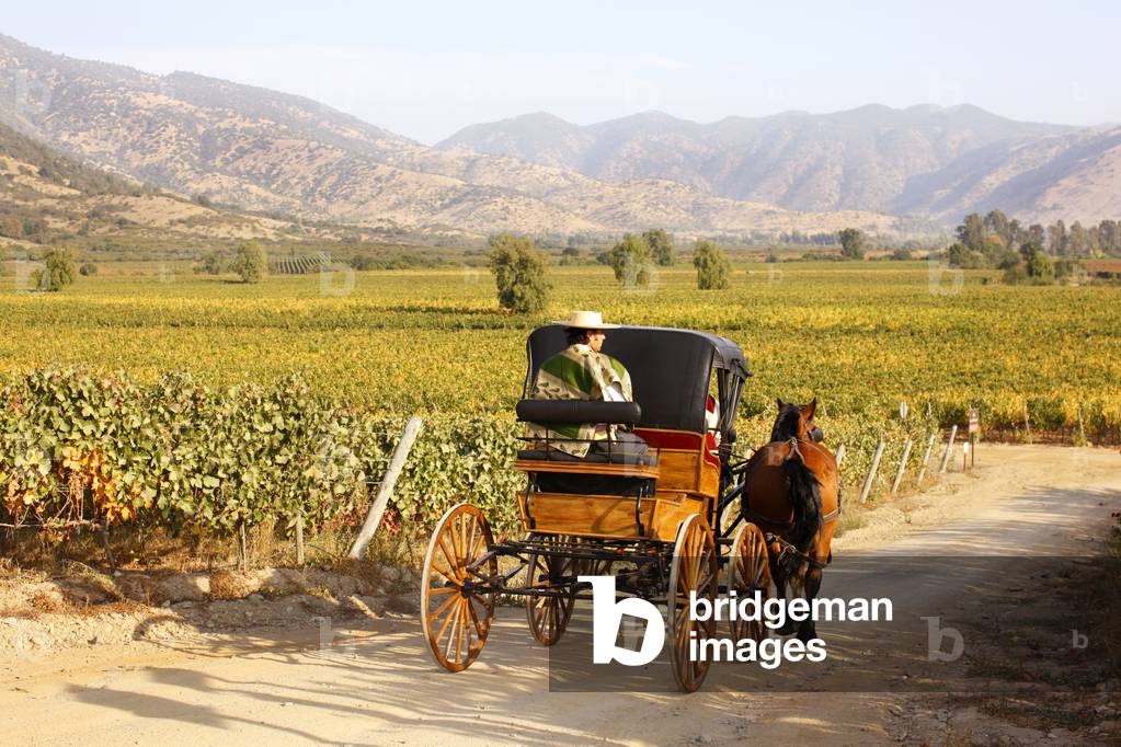 Bild von Fotografie "Huaso und Pferdewagen"