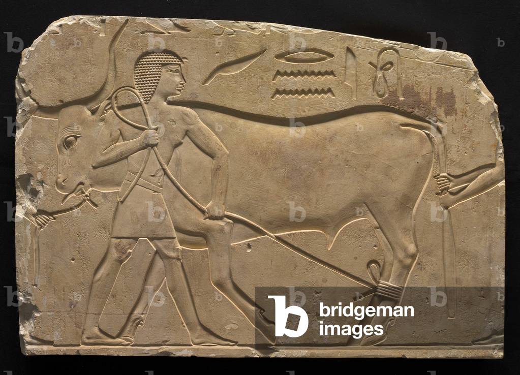 Uomini Trussing un bue, 667-647 a.C. (calcare)