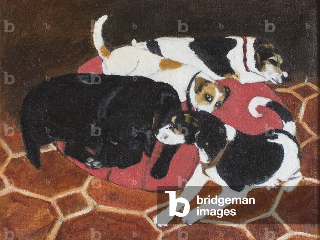 No More Stanza, 2005 (olio su tela)