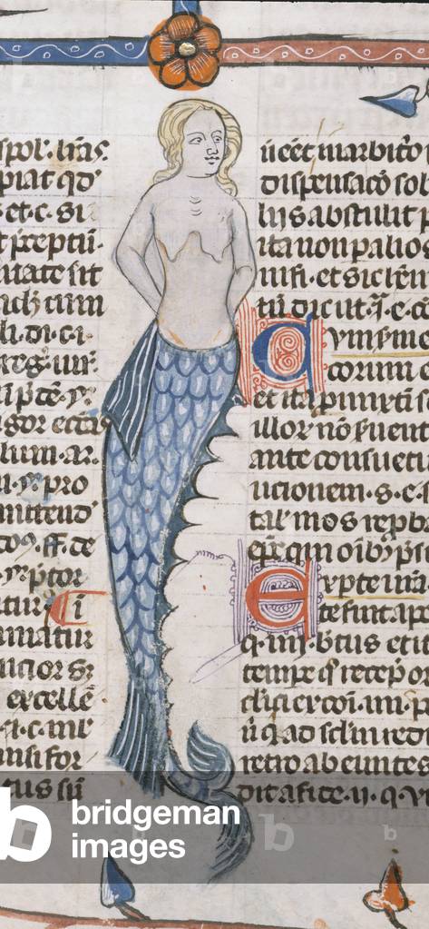 Royal 10 E. IV, f.47 A Mermaid, from the 'Decretals of Gregory IX with gloss of Bernard of Parma' (the 'Smithf