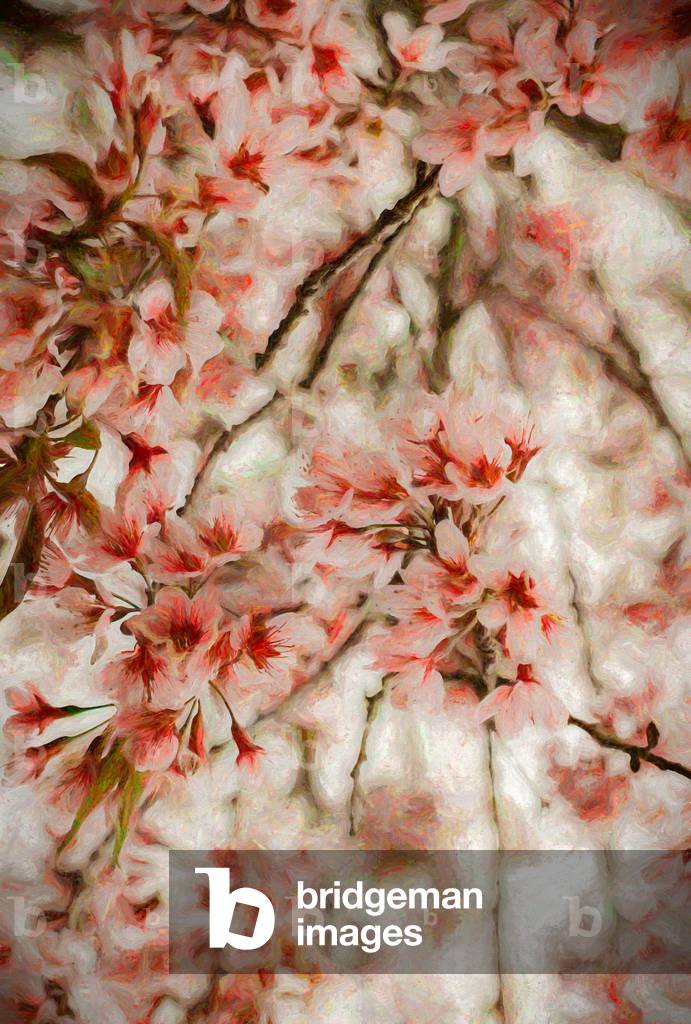 

Orientalis, 2020, (manipulated photography) è una rivista dedicata alla fotografia manipolata.