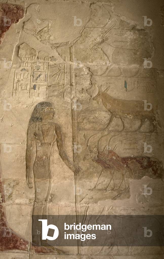 Mastaba di Nefer e Kahay. Sollievo. Figura femminile in piedi con un bastone accanto ad alcuni animali. Egitto