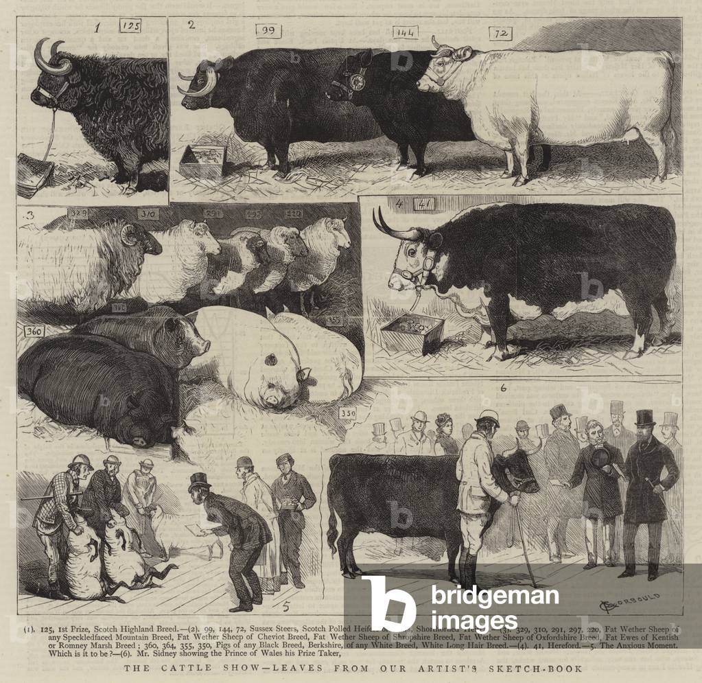 The Cattle Show by Alfred Chantrey Corbould, b/w