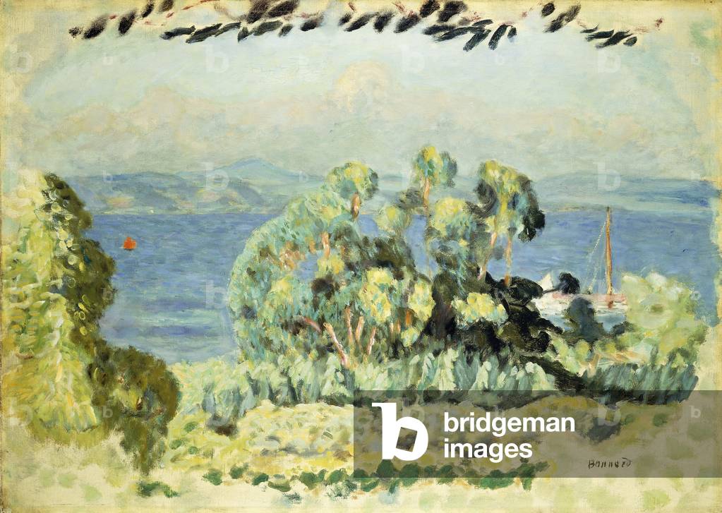 Les Eucalyptus, 1911 (öl auf leinwand)