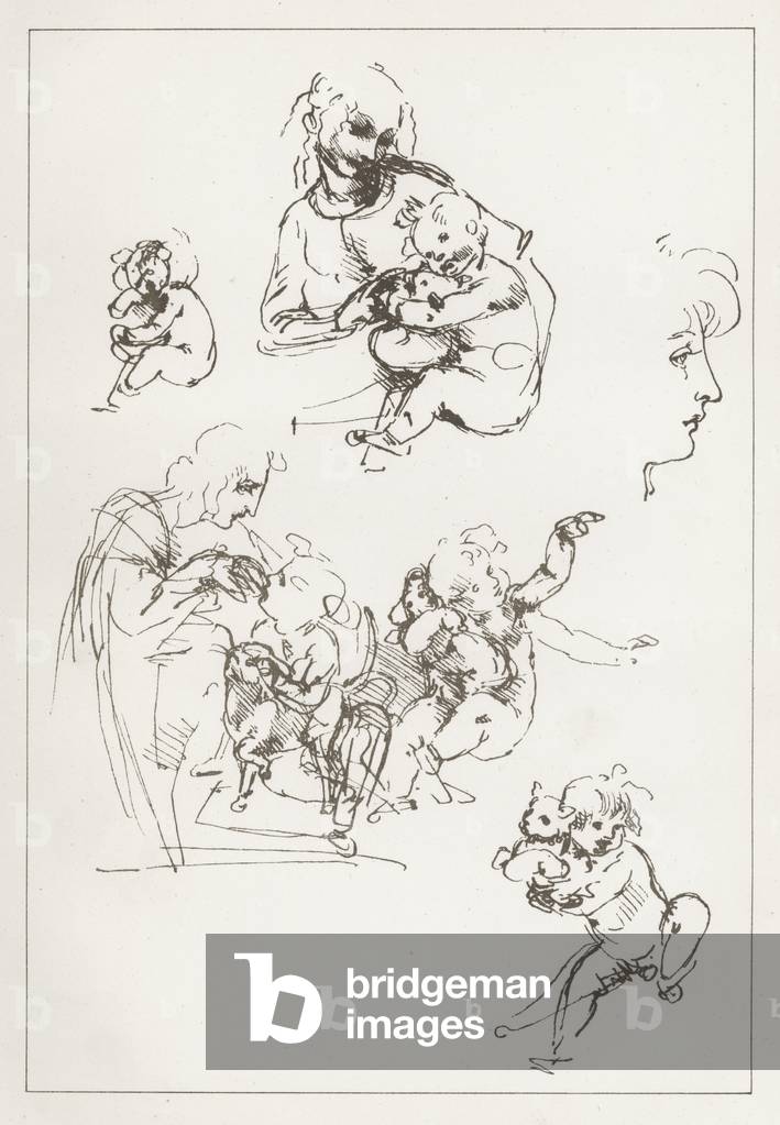 "Facsimile di uno studio di Leonardo da Vinci (incisione)" di English School