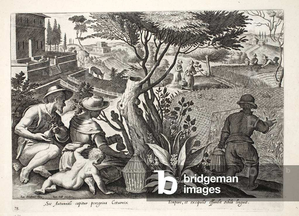 Chasse caille par Jan van der Straet, b/w