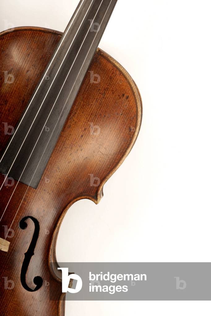 Violon